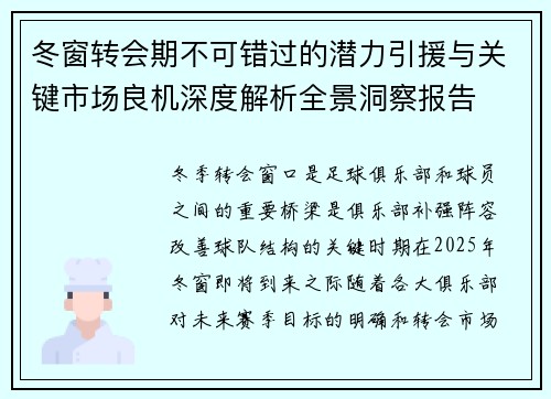 冬窗转会期不可错过的潜力引援与关键市场良机深度解析全景洞察报告