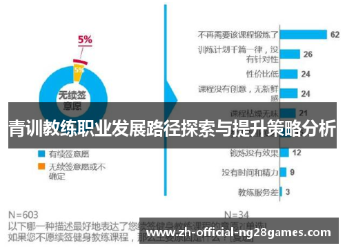 青训教练职业发展路径探索与提升策略分析