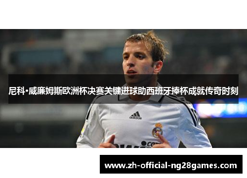 尼科·威廉姆斯欧洲杯决赛关键进球助西班牙捧杯成就传奇时刻