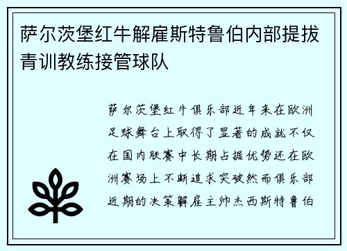 萨尔茨堡红牛解雇斯特鲁伯内部提拔青训教练接管球队
